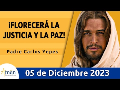 Evangelio De Hoy Martes 5 Diciembre 2023 l Padre Carlos Yepes l Biblia l  Lucas 10,21-24 l Católica