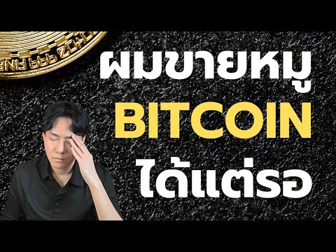 แนวรับแนวต้านของคนขายหมูBITCO