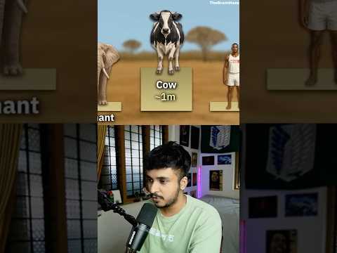 How High Can Animals Jump? 🦘🐅