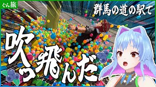 【無料!?】日本一の道の駅でブルーベリー食べ放題！【川場田園プラザ】