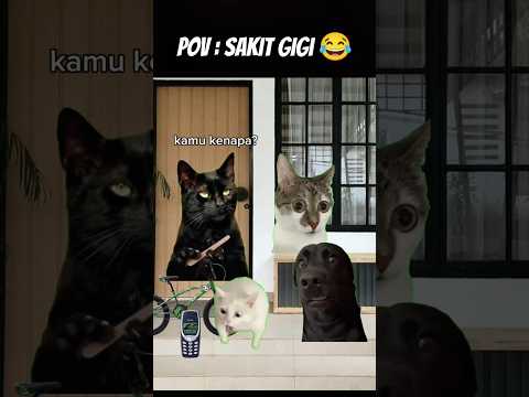 Pov : Bisa Gitu yak 😂 #meme #cat #kucing #animation #funny #fypシ