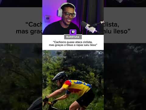 Só latiu pra não perder o costume #shorts