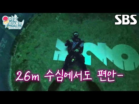 이형철, 아파트 9층 높이의 수심 26m 아래에서도 ‘도넛 <strong>물방울</strong>’ 만들며 뽐낸 여유★