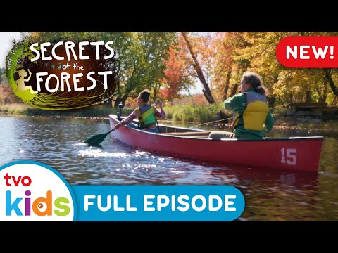 The Fall Spectacle 🍁🍂 SECRETS OF THE FOREST - Season 1 Full Episode | TVOkids