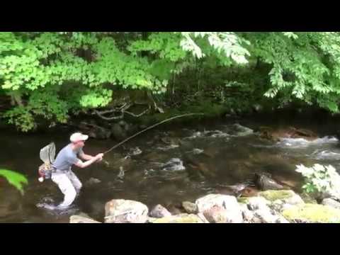 Fly Fishing the Doe River at Roan Mountain State Park