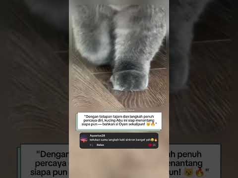 "Si Abu Siap Lawan Oyen!🔥😼"