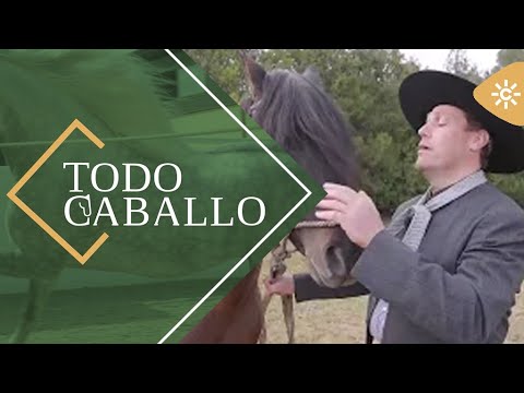 TodoCaballo | La doma argentina consiste en convencer más que en someter al caballo