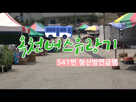 541번 급행? 사진