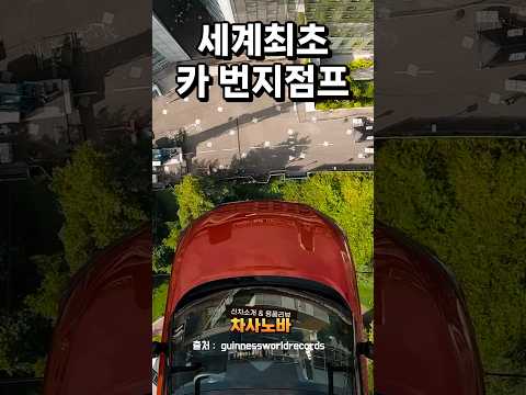 자동차 번지점프