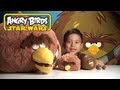 Angry Birds Star Wars FOAM FLYERS & EvanTubeHD DOUBLE
