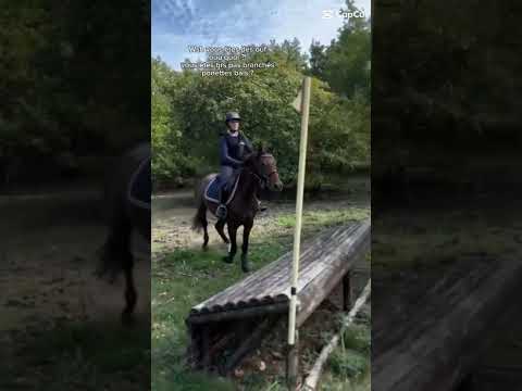 vous êtes des oufs !!!!