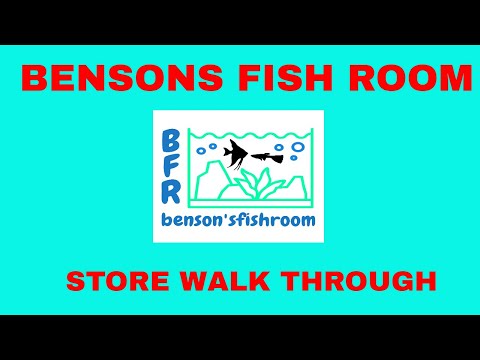 TROPICAL FISH STORE TOUR @BFR TROPICAL FISH STORE TOUR @BFR. Please subscribe  https_//www.youtube.com/c/BensonsFish...

Update on