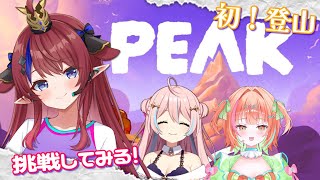 【 PEAK 】完全初見！初めての登山ゲーム💥何もしらないけど大丈夫そ？？with.星ノ音コロンちゃん.海凪みみちゃん #peak 【 #赤