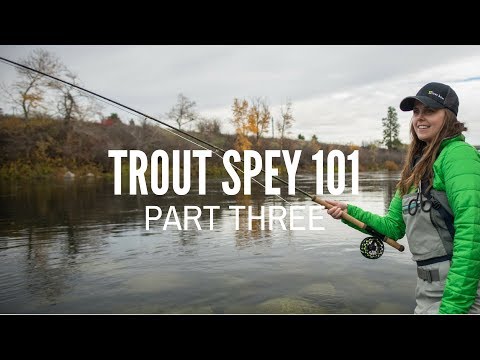 Trout Spey Part 3 - Technique Tips