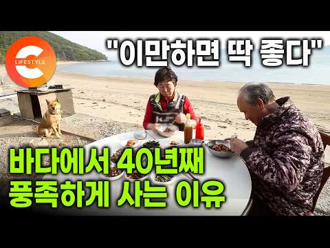1년을 기다렸다! 