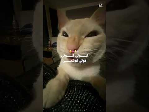 الترند الي ملهوش اي فايده وربنا 😫👆