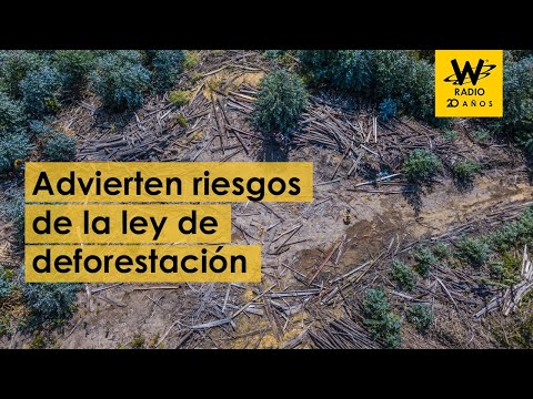 Embajadores de 3 continentes firman carta advirtiendo riesgos de la ley de deforestación