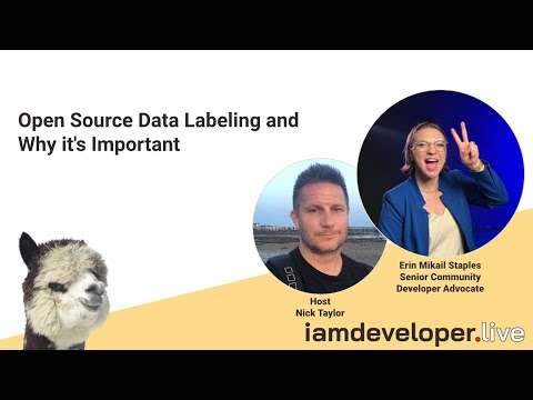 Open Source Data Labeling and Why it's Important