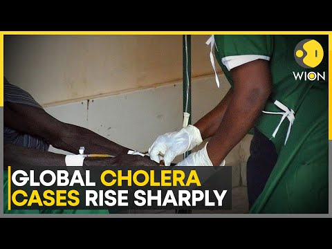 Cholera Cases Spike After Years Of Control | World News | WION