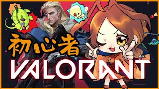 【VALORANT】雑魚コンペ（ブロンズ1）私をシルバーに連れてって🐜【姫蟻エイル/Vtuber】