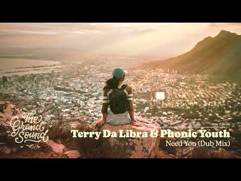 Terry Da Libra & Phonic Youth - Need You (Dub Mix)