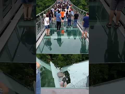 Asta a mi me dio miedo#shorts  #viral  #trending  #fyp  #foryou  #foryoupage