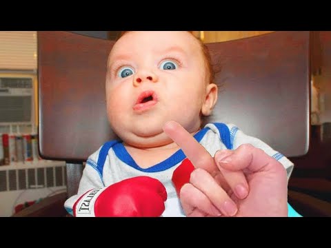 Daily Dose of Laugher with this Funniest Baby Videos - Try Not To Laugh Challenge