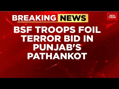 BSF Foils Infiltration Bid At Pathankot International Border, Neutralises Suspect | India Today