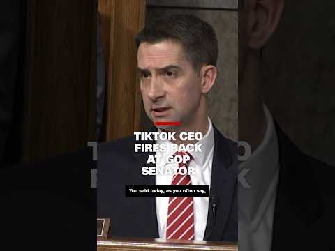 TikTok CEO fires back at GOP senator