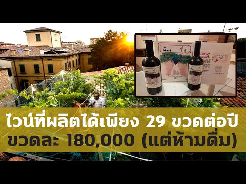 ไร่ไวน์ที่เล็กที่สุดในโลกแพงม
