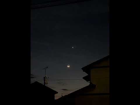 Venus&Regulus&Moon 2025年9月20日
