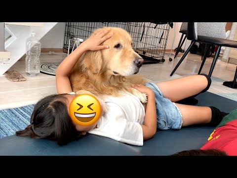 姉の上に乗っていることも忘れて、まるで人間のようにテレビに熱中する愛犬w