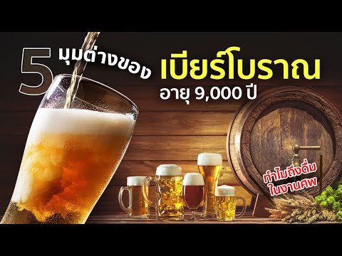 5-มุมต่างของเบียร์โบราณอายุ-9, 5-มุมต่างของเบียร์โบราณอายุ-9,