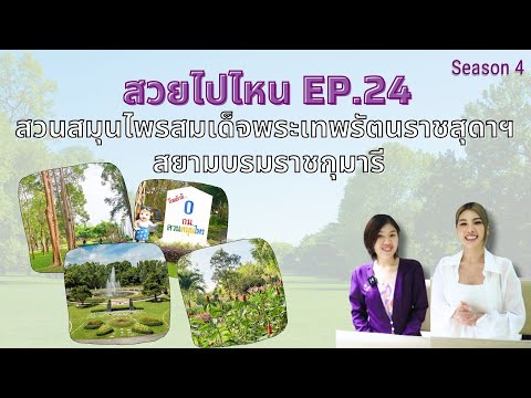 สวยไปไหนSeason4EP.24EP.24ส