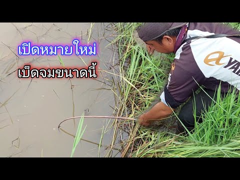 เปิดหมายใหม่-ใส่เบ็ดปลา-แกงปลา เปิดหมายใหม่-ใส่เบ็ดปลา-แกงปลา