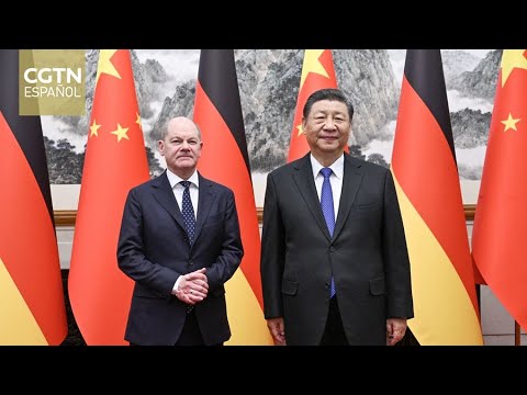 Xi Jinping se reúne con canciller alemán: La relación bilateral seguirá avanzando con paso firme