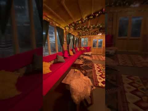 The spirit of Christmas