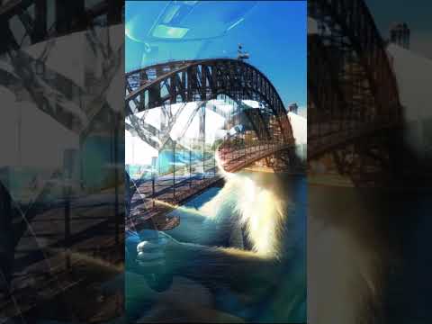 Funny Viral Monkey Vlog #aimonkey #monkey #monkeyshorts