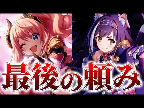 【プリコネR】頼む、最後に救ってくれ...！