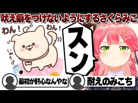 【コメ付き】いぬちが可愛くてしょうがないさくらみこ【ホロライブ/さくらみこ/切り抜き】 #さくらみこ