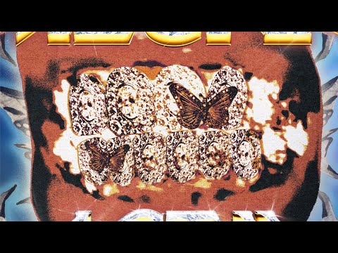 Megan Thee Stallion FT Flo Milli - Roc Steady (Open Verse)