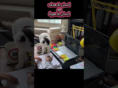 " النجاح صعب" ولكن إنسان بلاهدف إنسان بلا هوية ❤🥼🩺#تحفيزالذات #العلم النافع#طالبة_جامعة المنصوره