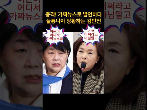 가짜뉴스 들통나자 당황하는 <strong>김민전</strong>