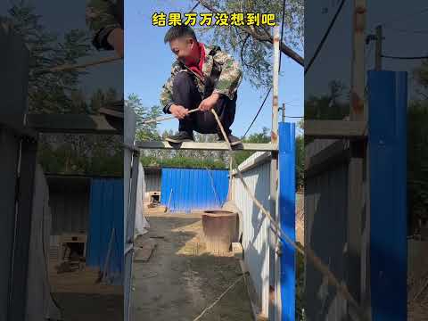 #funny #lifeisbutadream #comedy #whowillbemylifepartnerta #newcomedy #ekmotahathighumechala