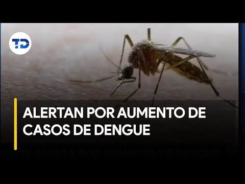 Ministerio de Salud alerta por aumento de casos de dengue