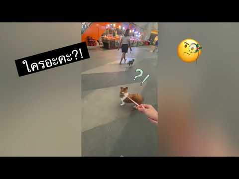 กิจกรรมรวมฝูง!!-มาเรียนรู้กับค กิจกรรมรวมฝูง!!-มาเรียนรู้กับค