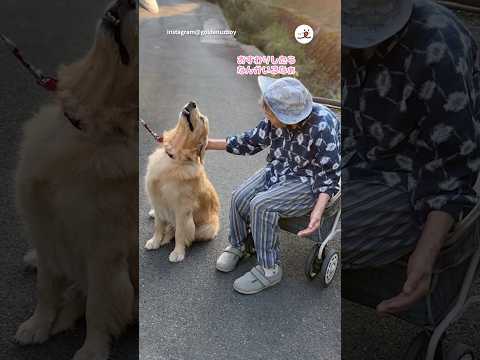 ゆずくんとおばあちゃんの温かい日常動画 サムネイル