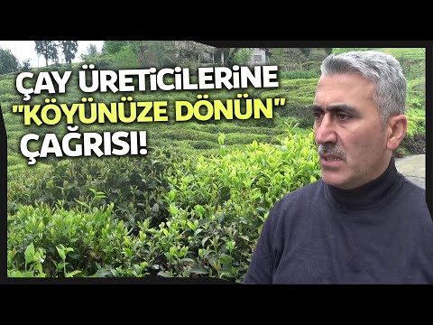 Çay Üreticilerine Tam Kapanma Olmadan “Köyünüze Dönün” Çağrısı