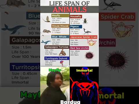 Immortality 😱💀 #animals #life