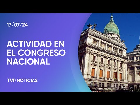 Congreso: reforma política, baja en la edad de imputabilidad y conformación de la Corte Suprema